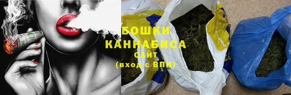 прущие грибы Баксан
