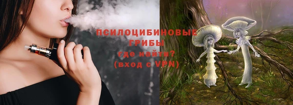 гидропоника Арсеньев